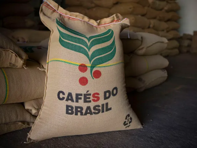 Exportações de café para os EUA devem se normalizar em seis meses