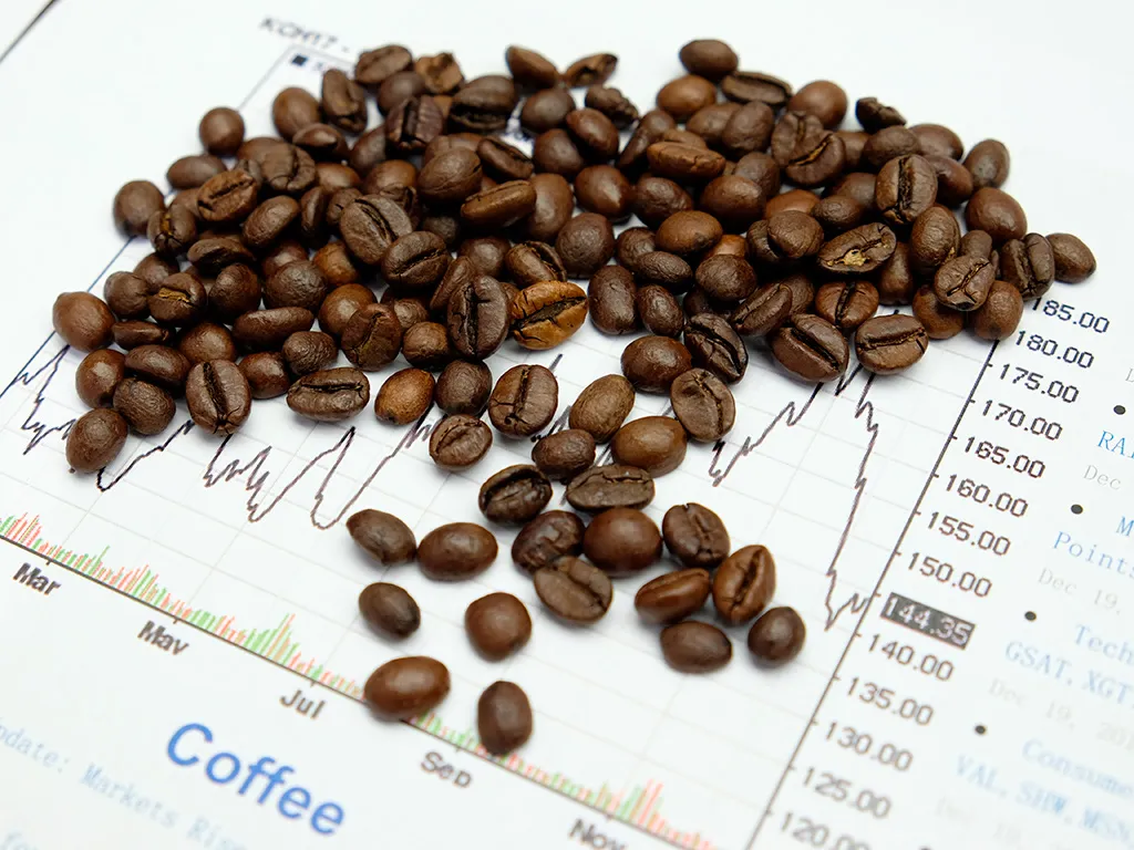 Percepções mais positivas para safra/25 derrubam os preços do café no início da tarde desta 6ª feira (20)