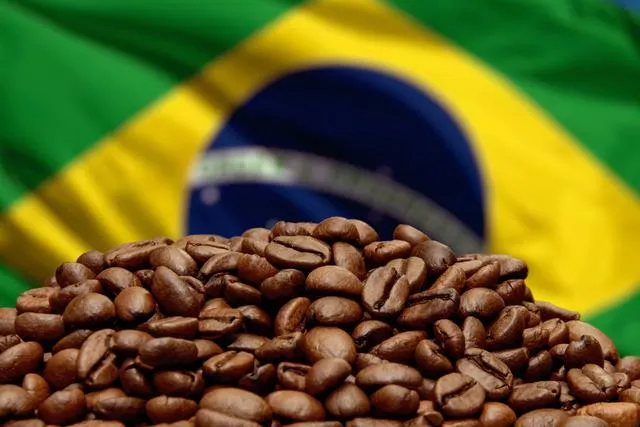 Mercado cafeeiro continua apreensivo e trabalhava com fortes ganhos na manhã desta 2ª feira (28)