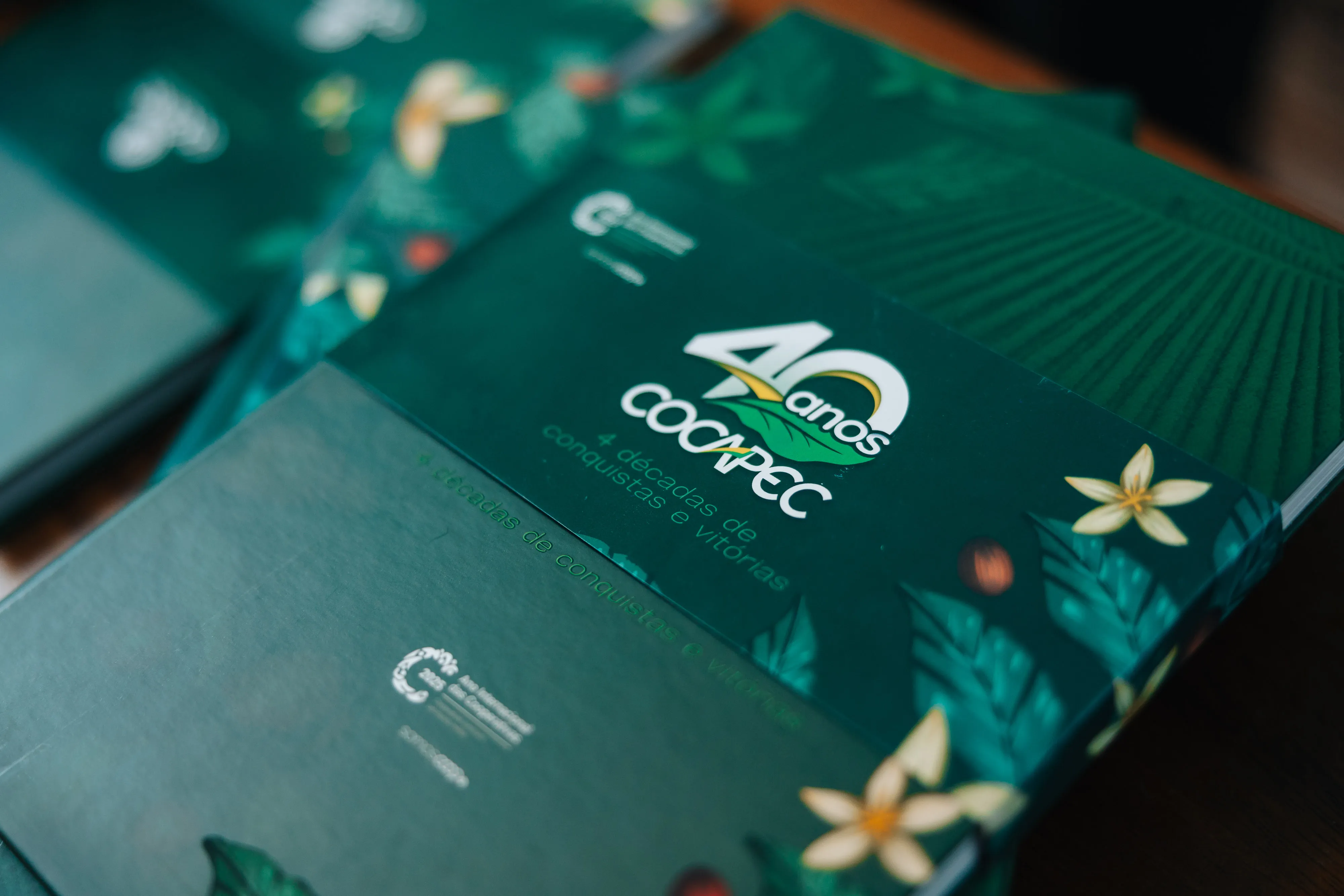 Retrospectiva 2025 | Um ano histórico para a Cocapec