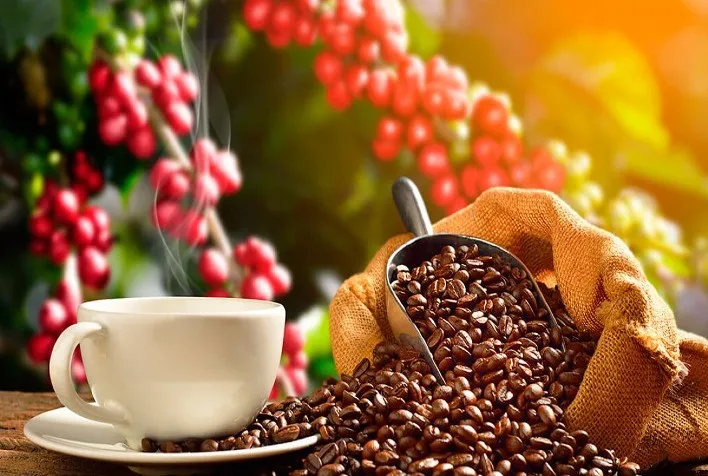 Café abre a segunda-feira realizando lucros em Nova Iorque