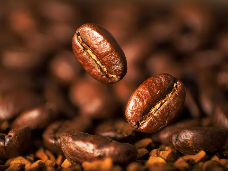 Café/Cepea: Preços oscilam com força em novembro, mas dentro de patamar do mês anterior