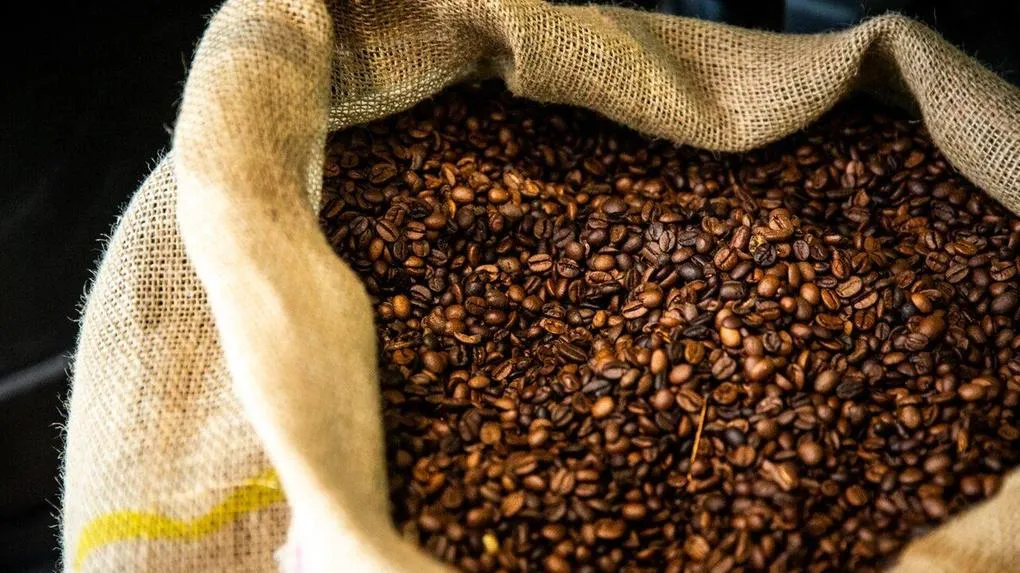 Exportadores de café elogiam medidas antitarifas, mas ainda esperam isenção das taxas