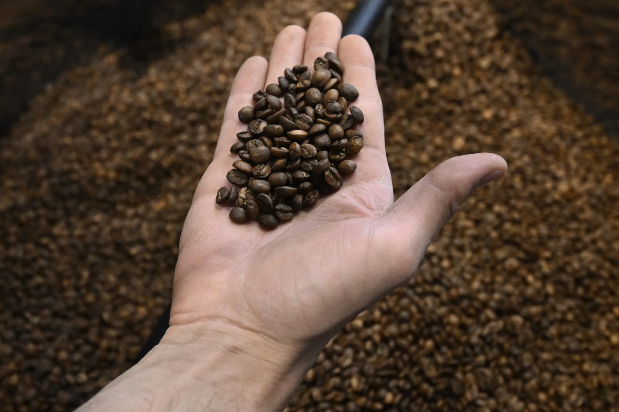 Brasil pode redirecionar a países árabes produtos do agro sob tarifaço dos EUA