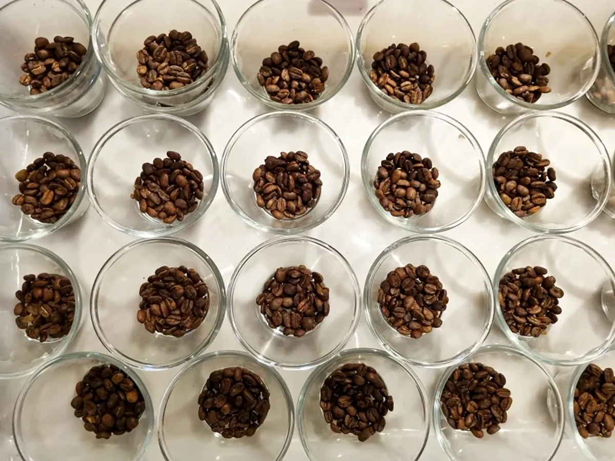 Abertas as inscrições para o Concurso de Qualidade dos Cafés de Minas Gerais 2026