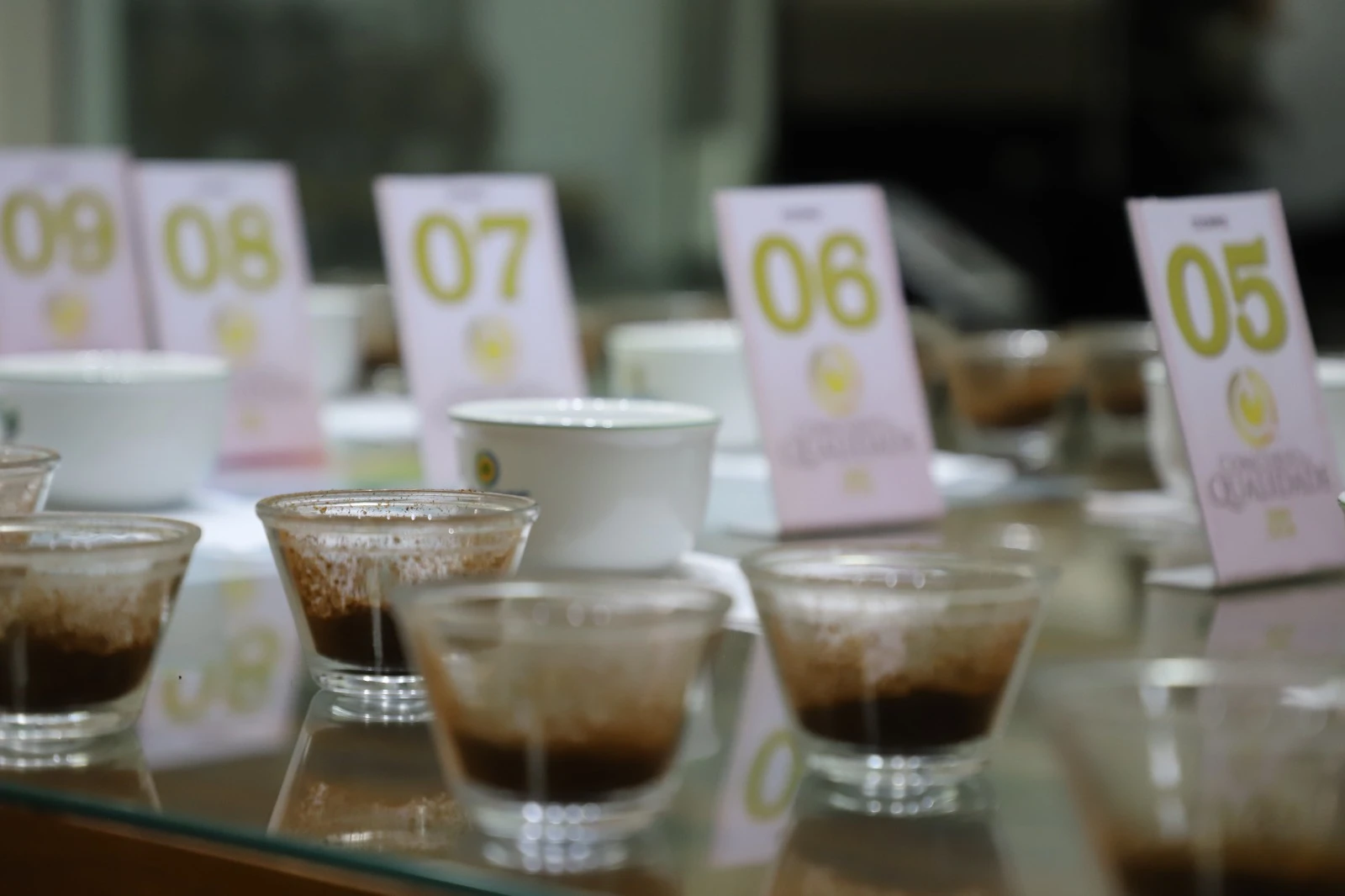 Concurso Senhor Café da Cocapec revela o vigor da safra e a excelência dos cafés especiais