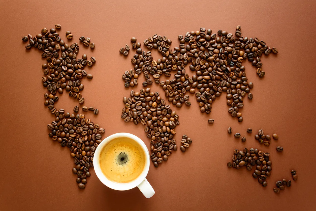 Europa consome aproximadamente 150 mil sacas de café por dia