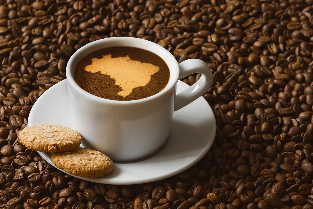China habilita 183 empresas brasileiras para exportação de café