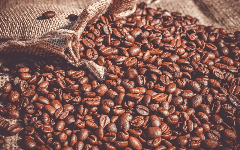 Abertas as inscrições para o Concurso de Qualidade dos Cafés de Minas Gerais 2026