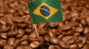 Café fecha semana com altas no arábica e baixas no robusta; clima no Brasil segue no radar do mercado