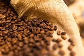Café fecha com leve queda em Nova Iorque nesta segunda-feira