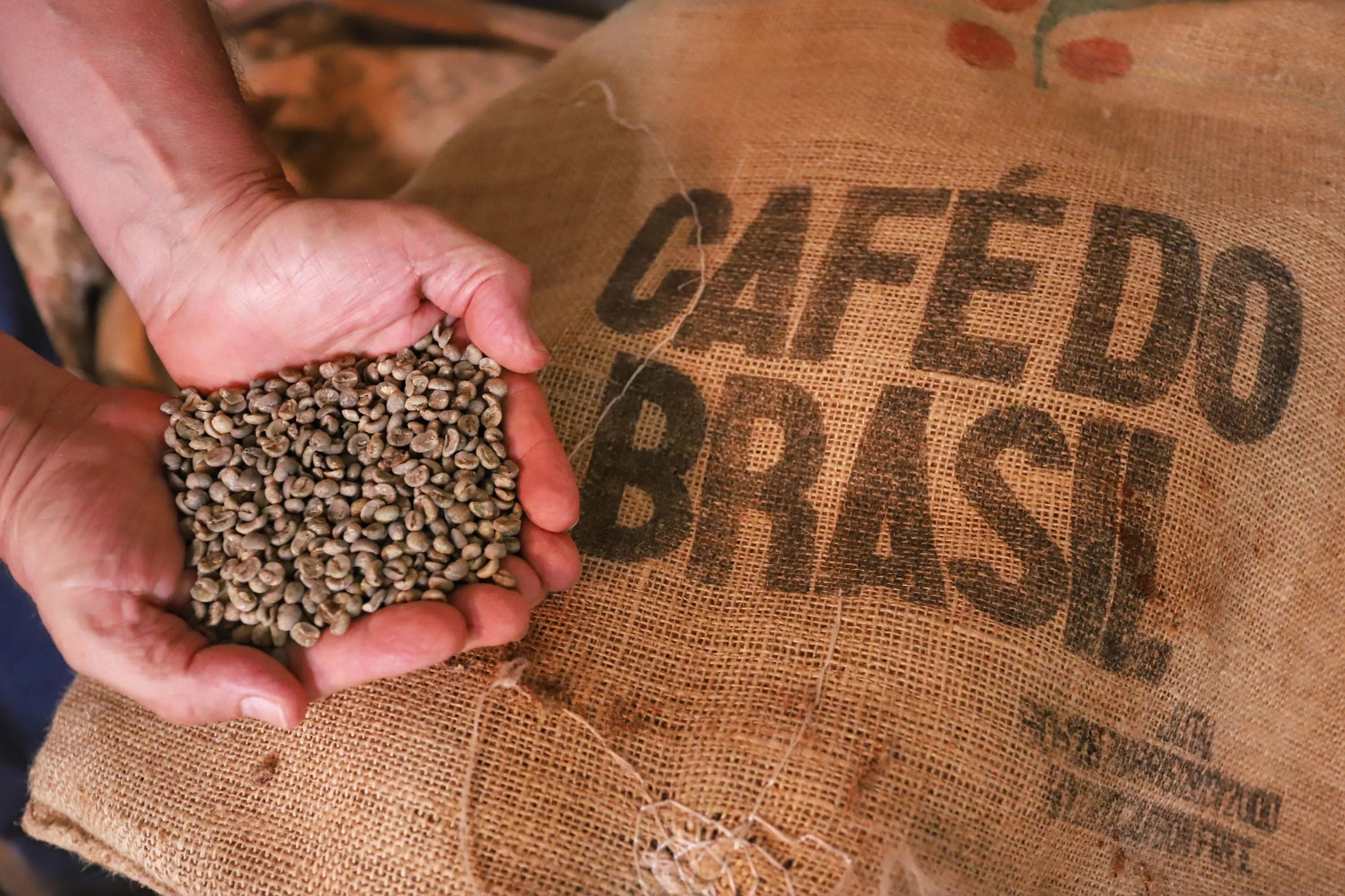 Sem pânico, produtores de café se preparam para expandir exportações
