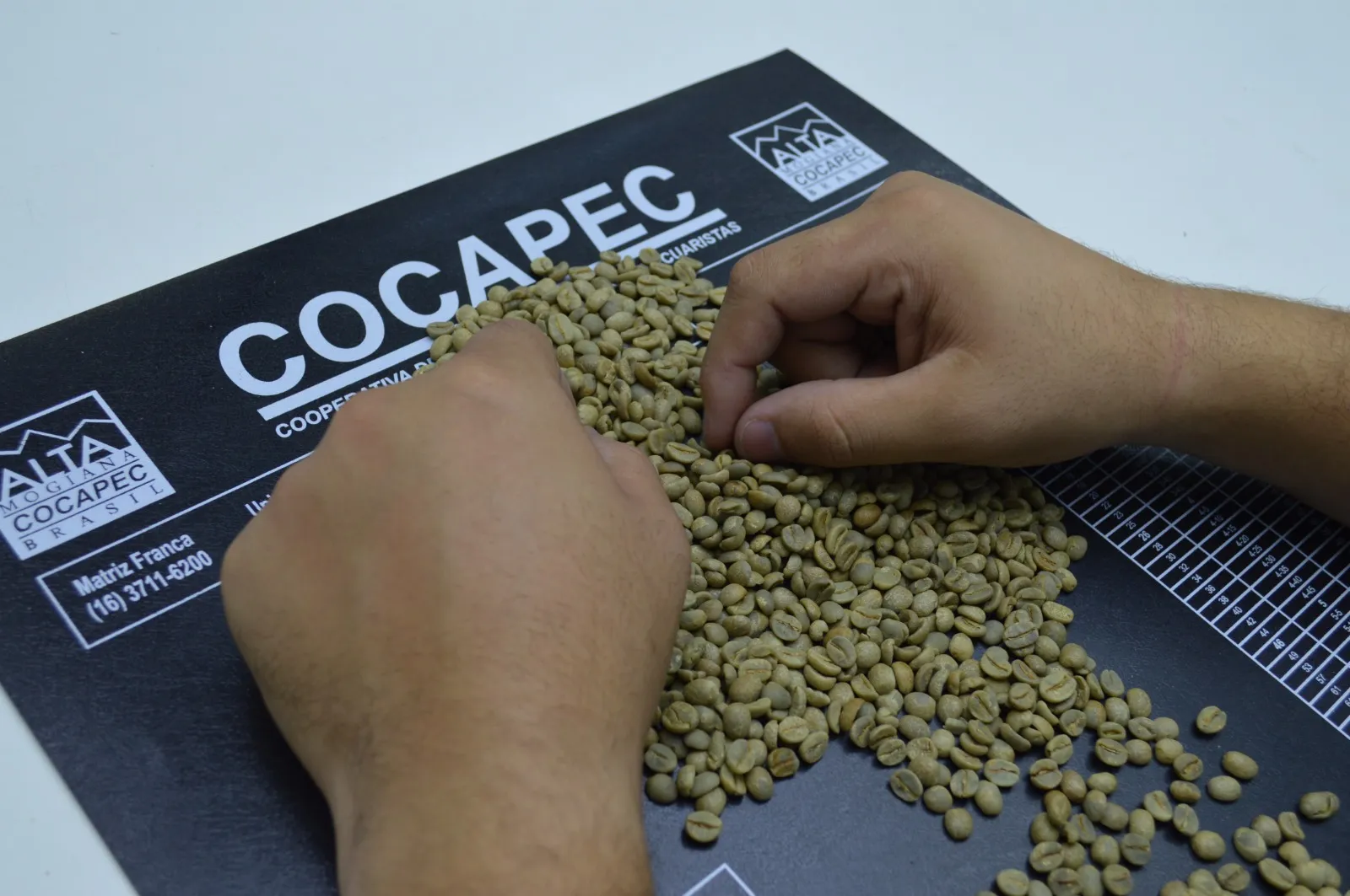 Exportações do agronegócio somaram US$ 16 bilhões