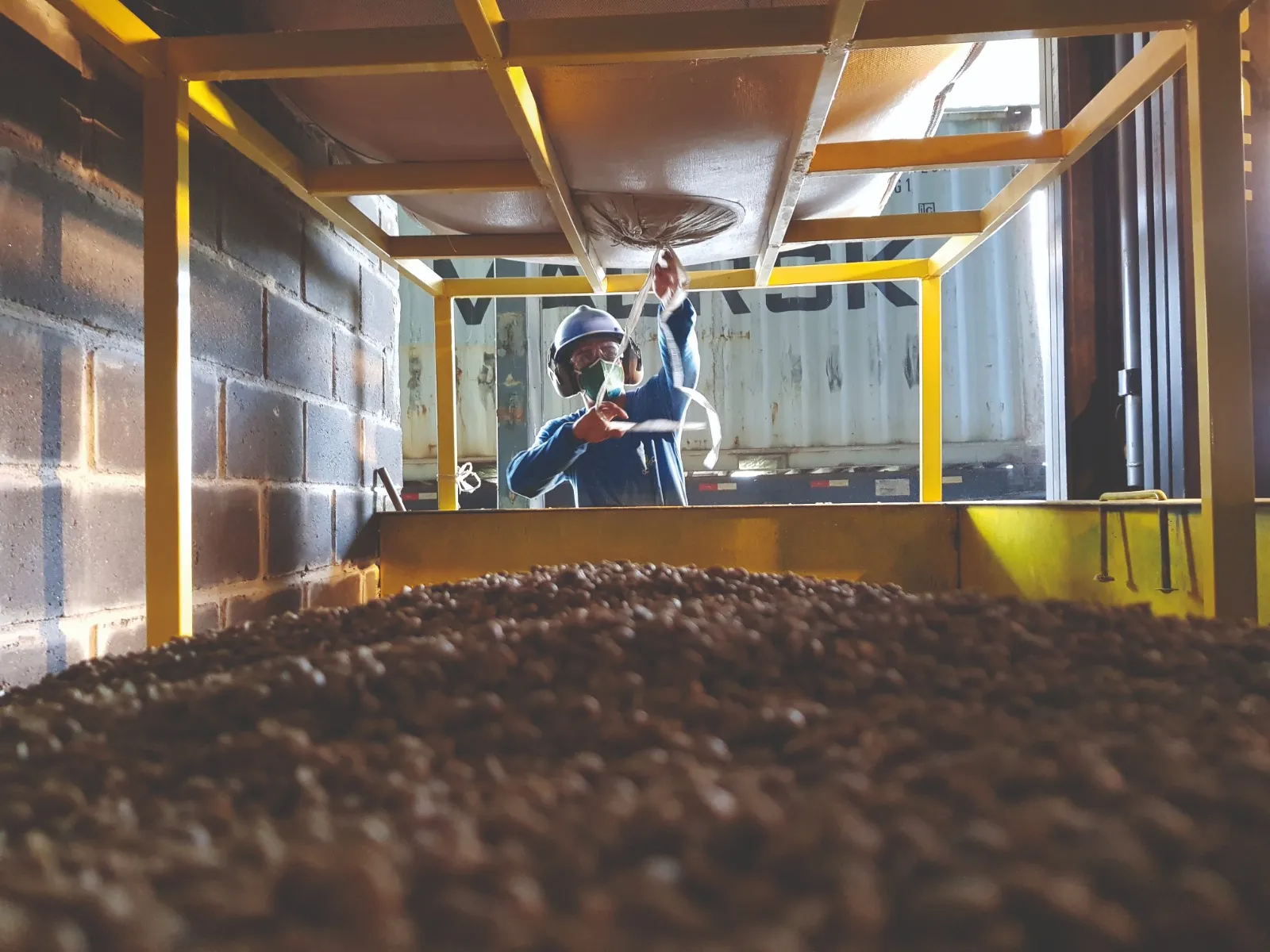 Café fecha com recuperação em Nova York, enquanto robusta segue pressionado por oferta global