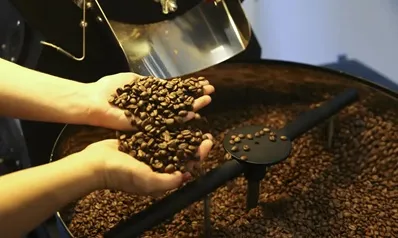 IBGE Prevê Aumento na Produção de Café do Brasil em 2025
