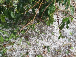 granizo 3