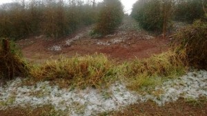 granizo 5