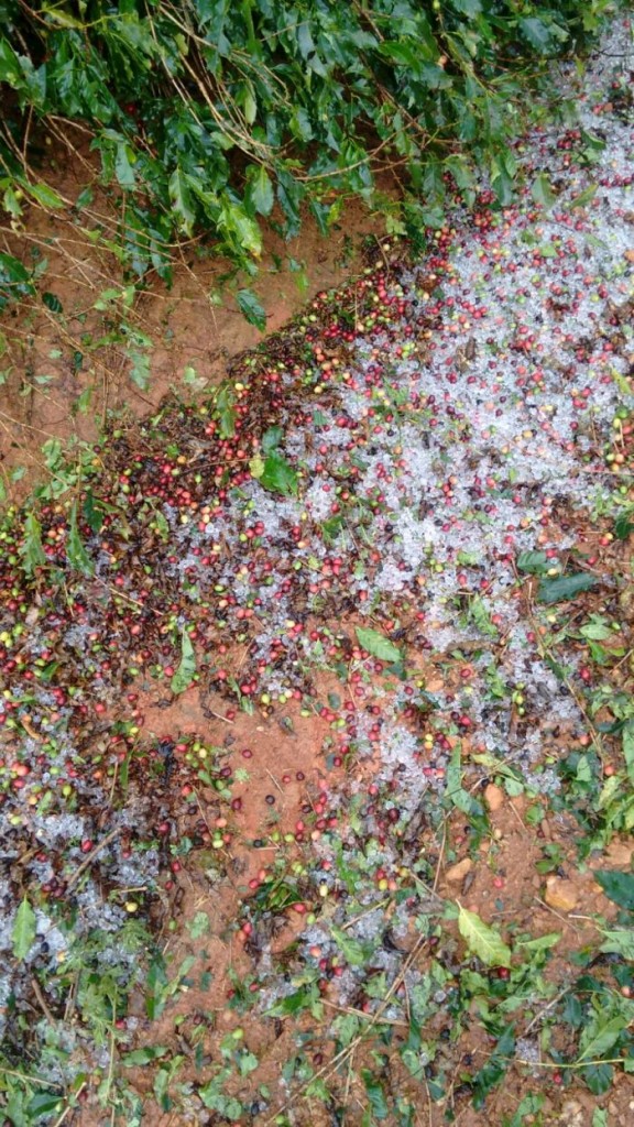 granizo 7