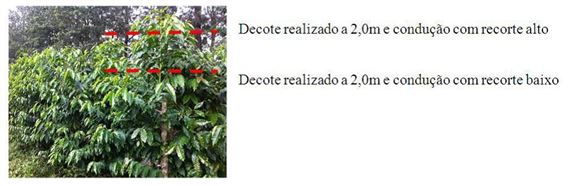 noticias 2