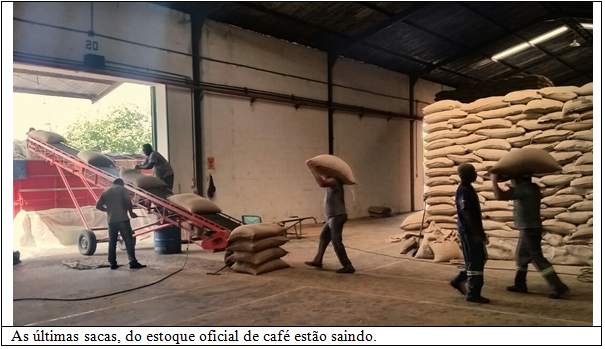 procafé 1
