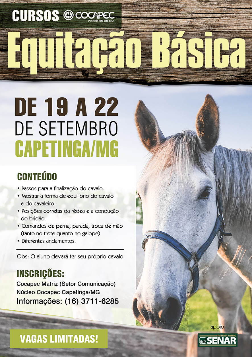 curso redea w