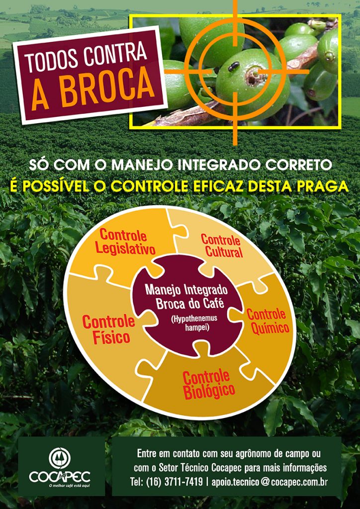 broca w