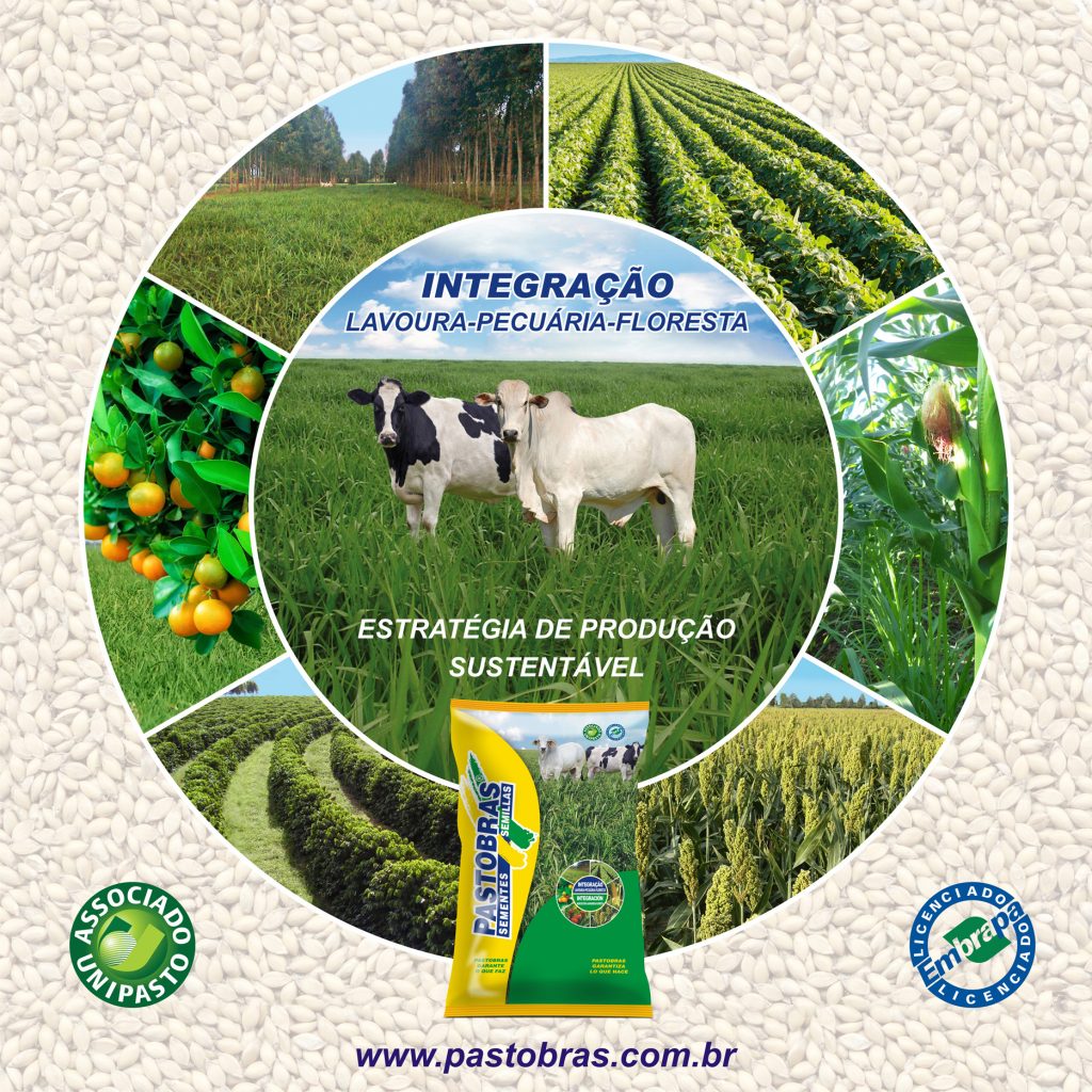 integracao_pastobras