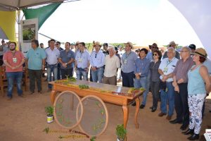 Dia de Campo 2018 (11)
