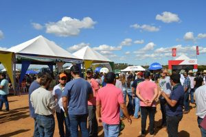 Dia de Campo 2018 (3)