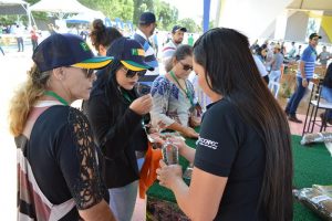 Dia de Campo 2018 (5)
