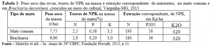 procafé
