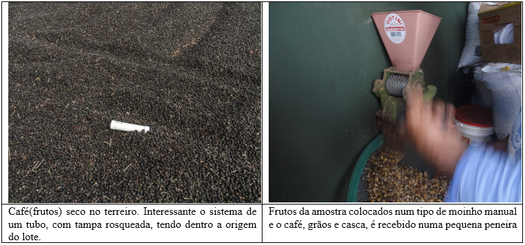 procafé