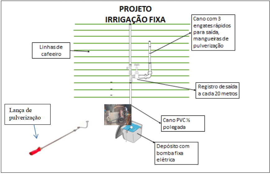 procafé 1