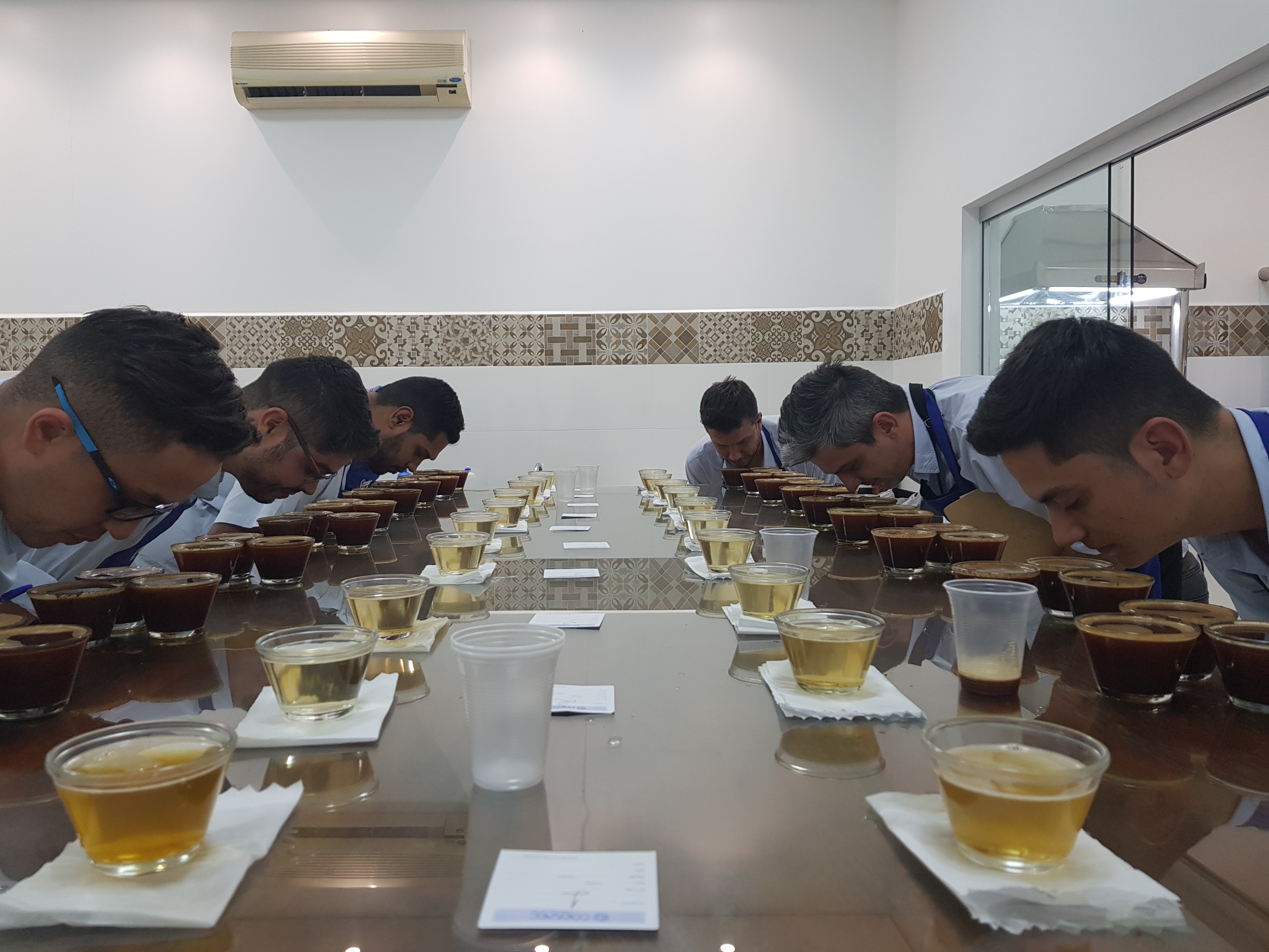 Equipe faz calibragem para classificar a safra 2019