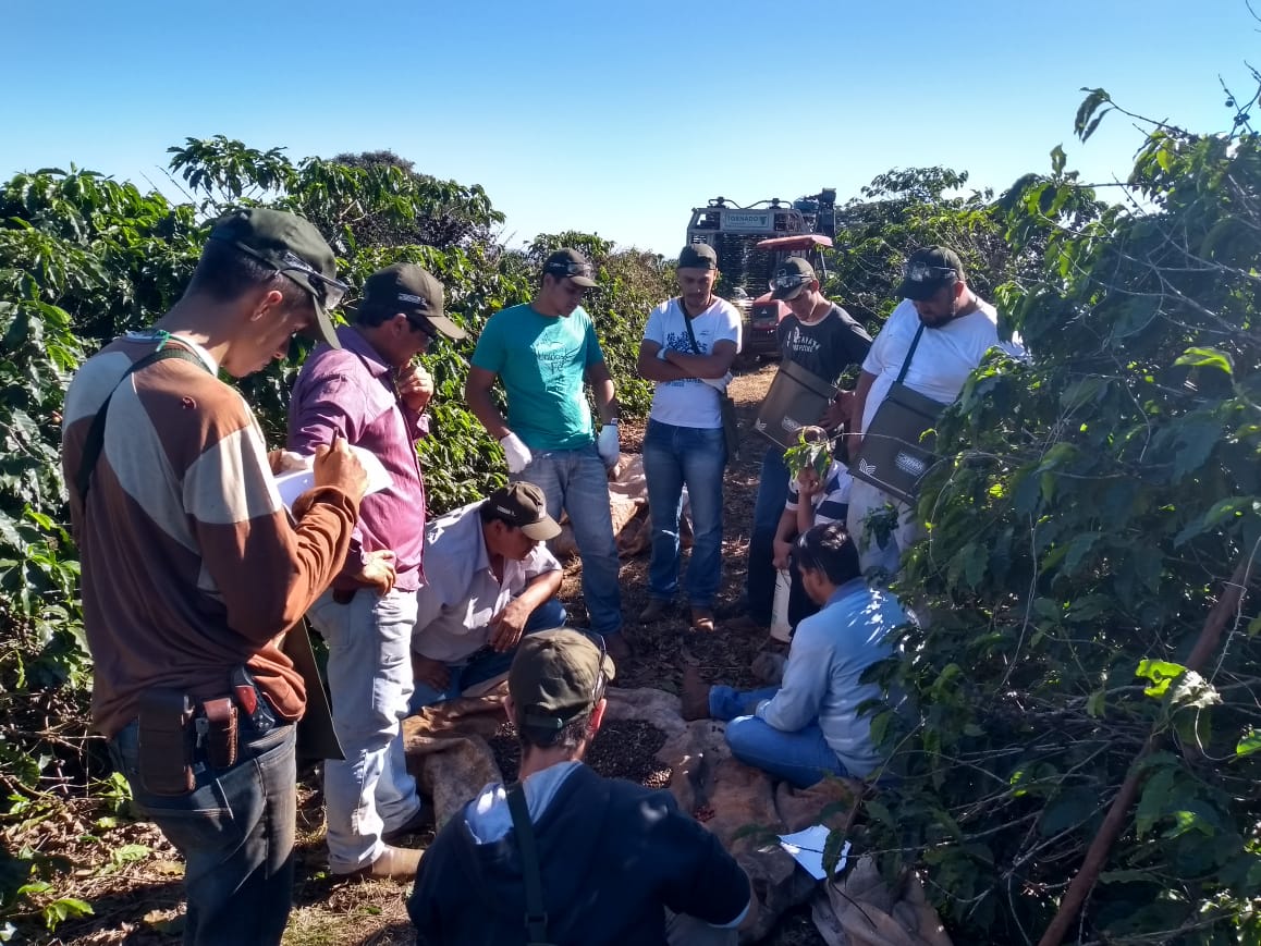 Cursos Cocapec movimentam unidades Mineiras