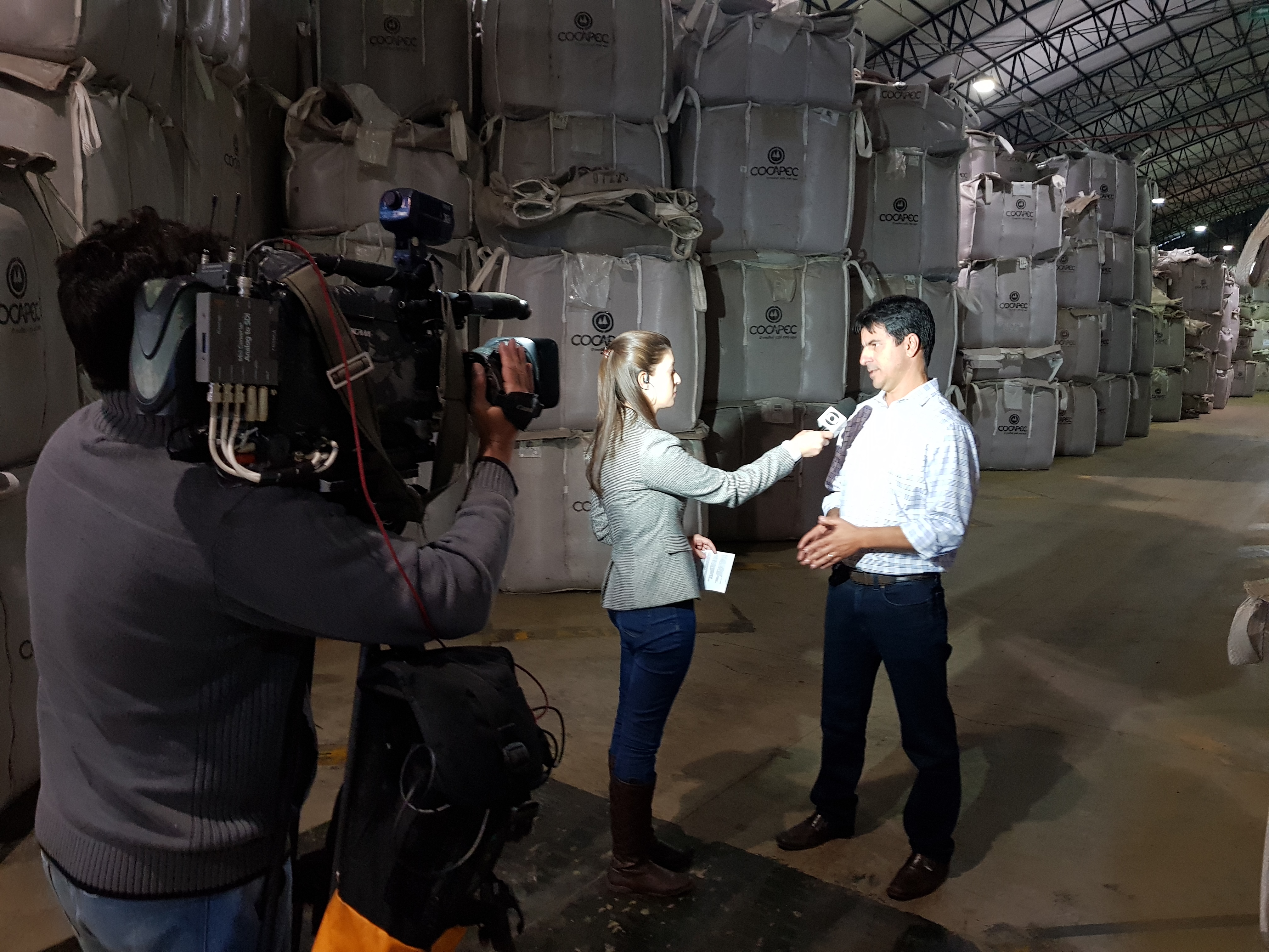 Geada: Assista a entrevista da Cocapec na EPTV