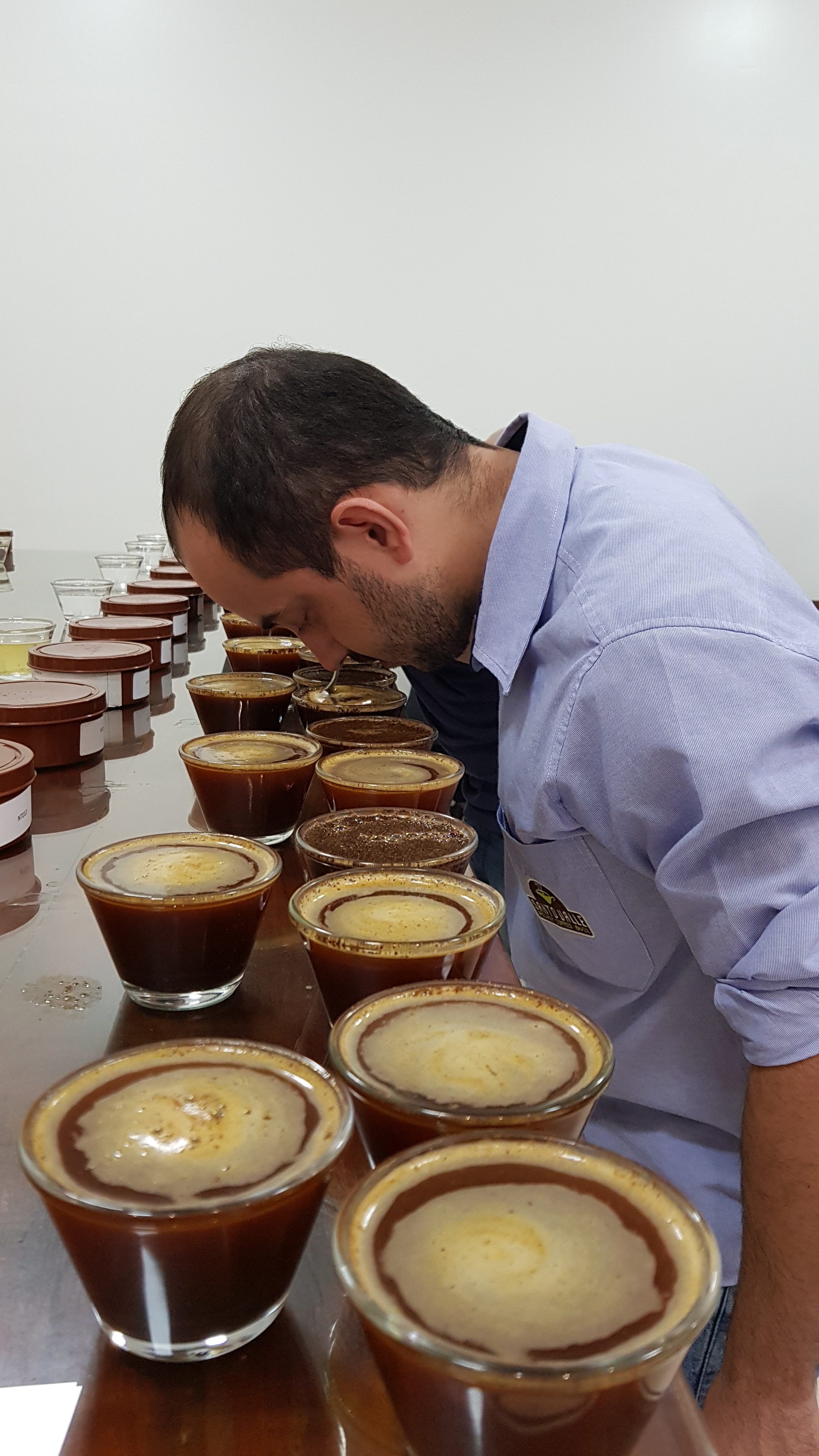 É hoje: Alta Mogiana conhecerá seus melhores cafés