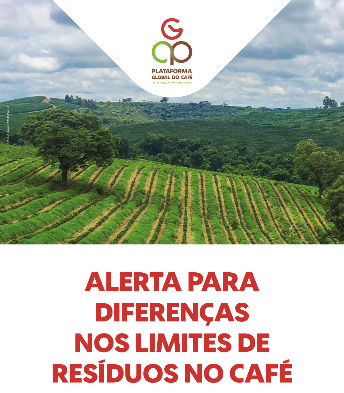 Plataforma Global do Café divulga Manual de Boas Práticas Agrícolas