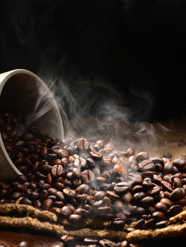 Atual estimativa traz produção de café em 58,81 milhões de sacas na safra 2024